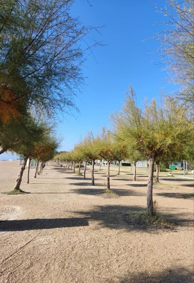 Beachfront Plaza *